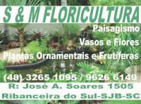 /album/floriculturas-e-paisagismo/sm-floricultura-gif1/